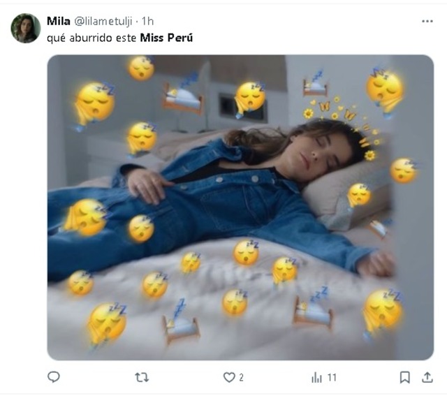 Miss Perú 2024 memes