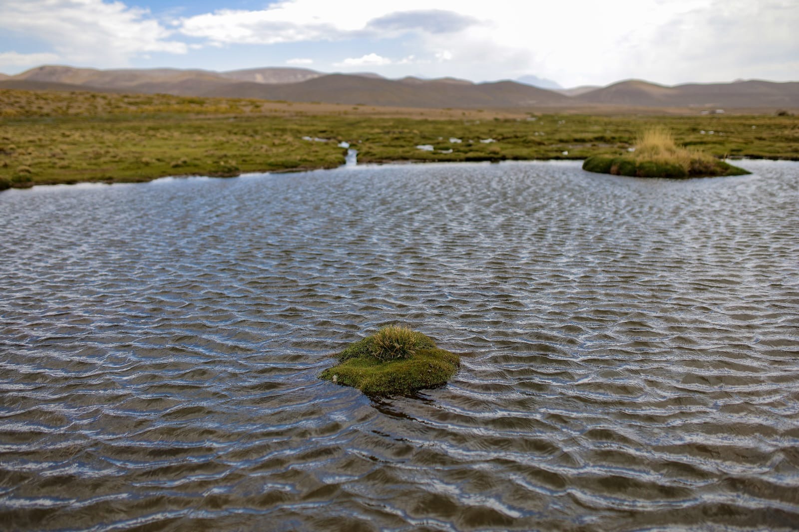 Conservación de la Reserva Nacional Salinas y Aguada Blanca garantizará el suministro de agua para toda la población de Arequipa.
