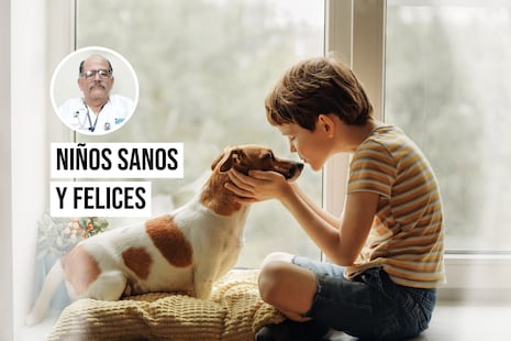¿Es bueno que los niños tengan mascotas en casa?
