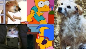 House of the Dragón 2x02: Mira los mejores memes que dejó el impactante episodio | ¡Alerta de spoiler!