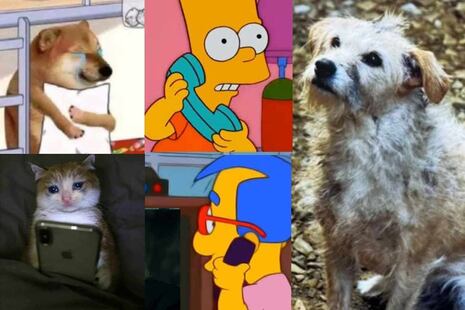 House of the Dragón 2x02: Mira los mejores memes que dejó el impactante episodio | ¡Alerta de spoiler!