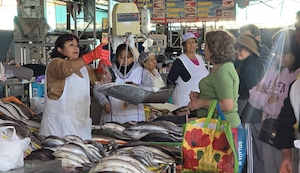 Alimentación saludable: La importancia de diversificar el consumo de pescado en el país
