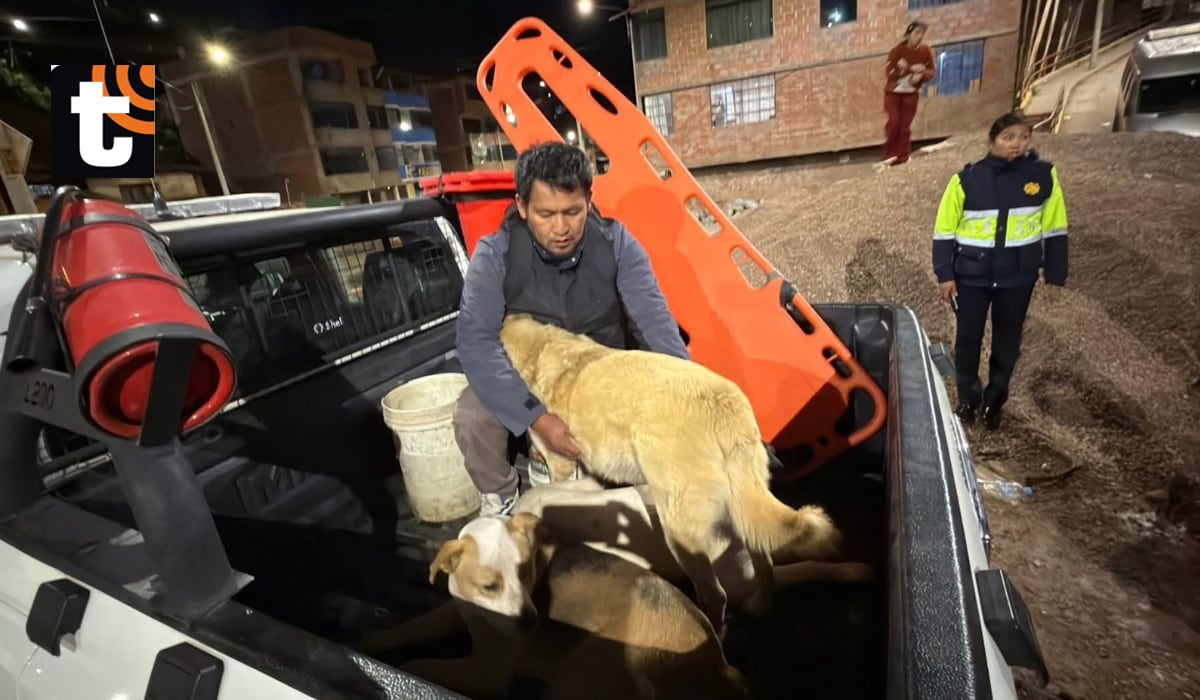 Cusco. Foto: Juan Sequeiros