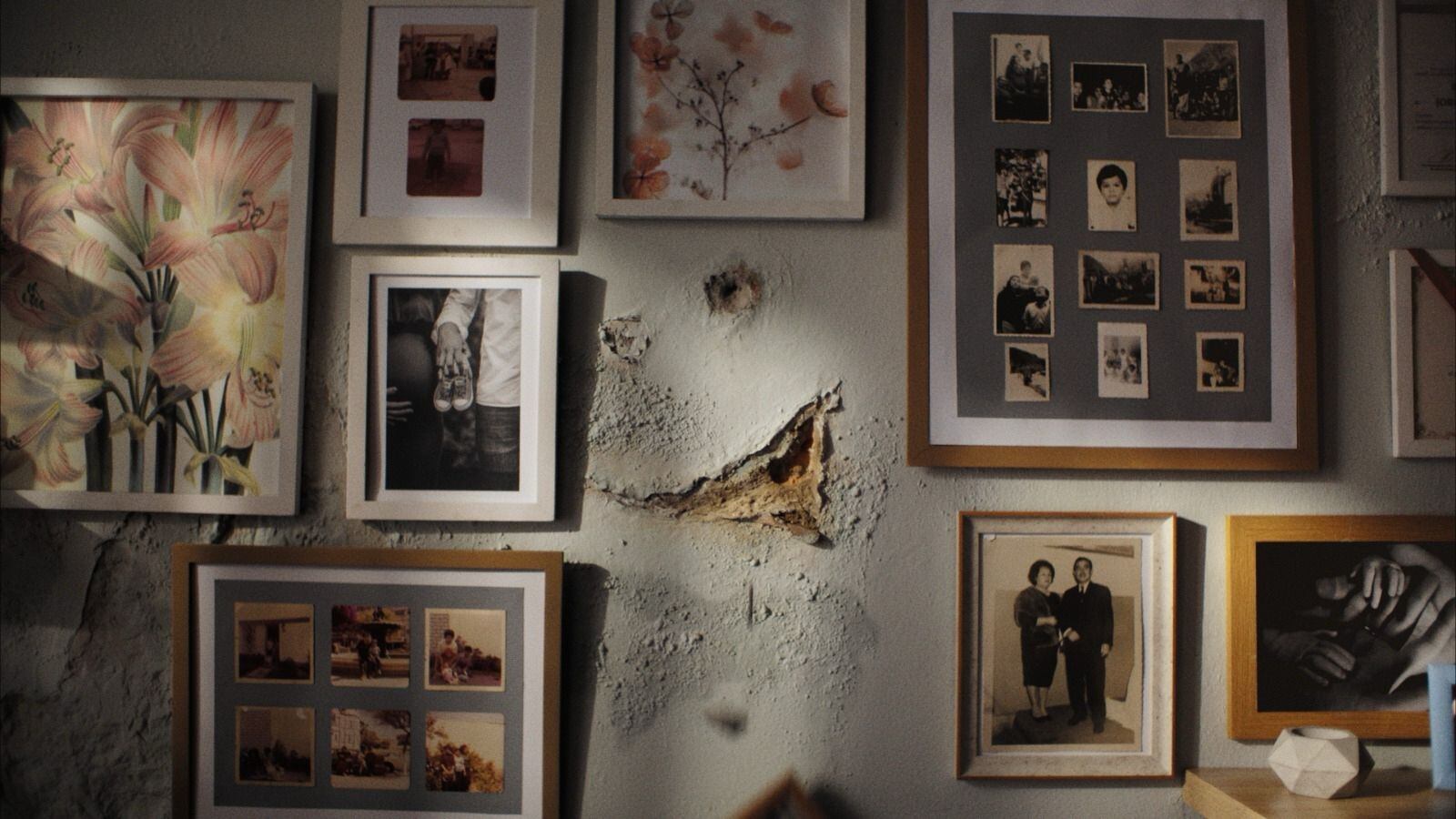 Exceso de humedad y moho es peligroso para la salud