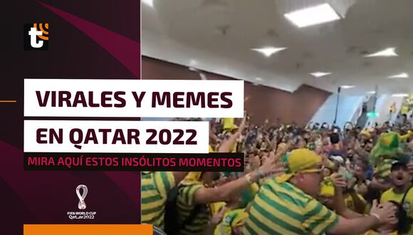 Qatar 2022: los videos más virales de los hinchas en el mundial