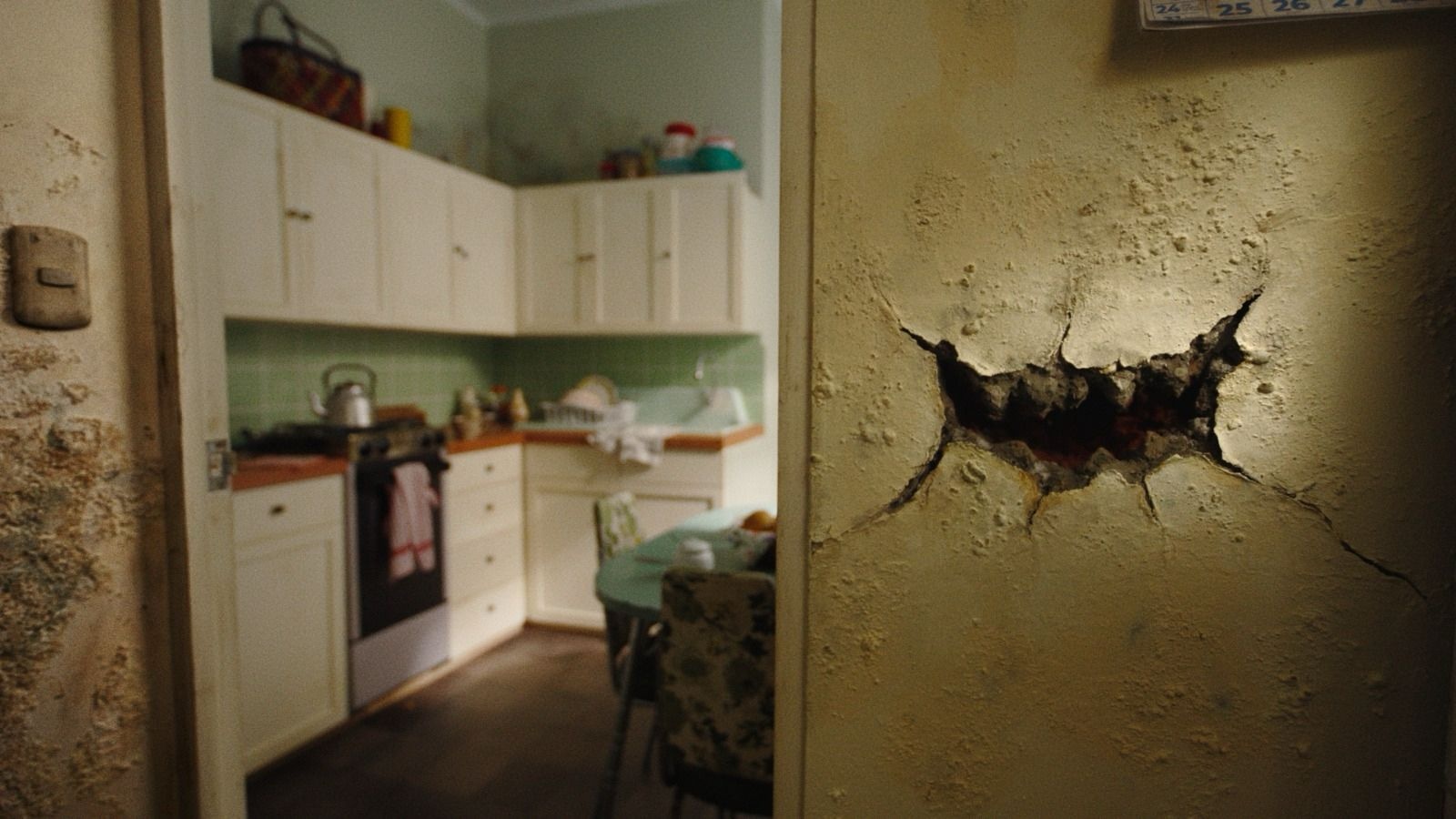 Exceso de humedad y moho es peligroso para la salud