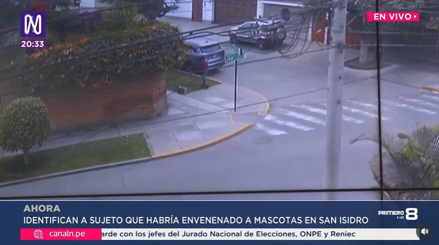 Municipalidad de San Isidro logró dar con la identidad del sujeto que habría envenenado a mascotas.