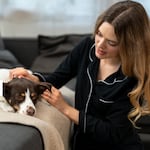 Otitis en perros: detecta las primeras señales y evita complicaciones