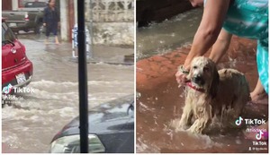 Mujer aprovecha fuertes lluvias para bañar a su perro en la calle
