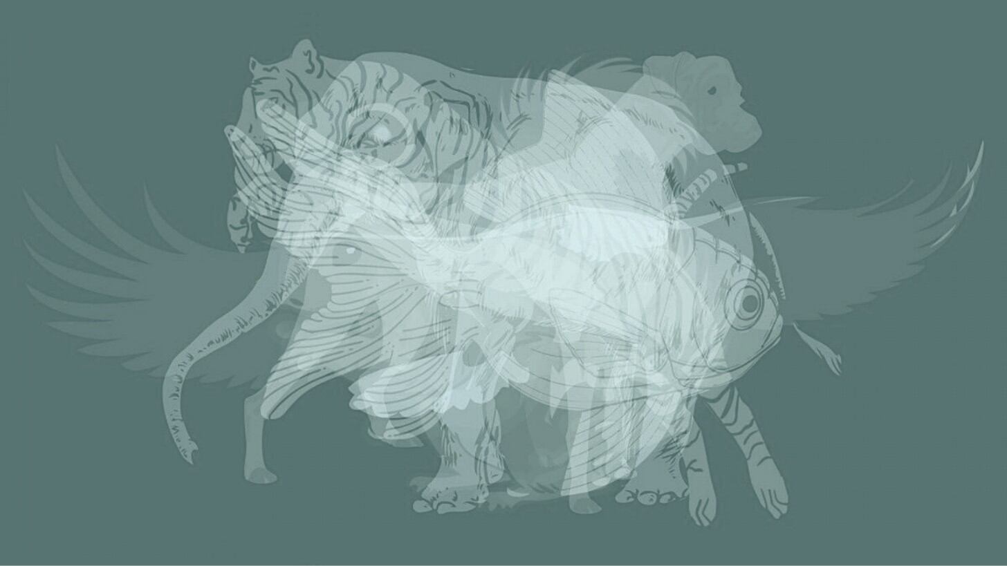 El animal que veas primero en este test viral revelará el lado oculto de tu personalidad. Foto: MDZ Online