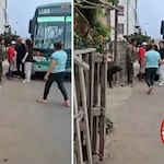 Sicarios asesinan a balazos a conductor de bus de la Línea 20 en Chorrillos