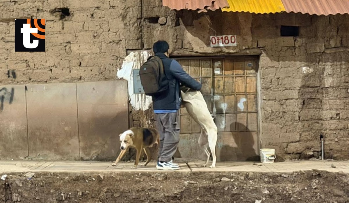 Cusco. Foto: Juan Sequeiros