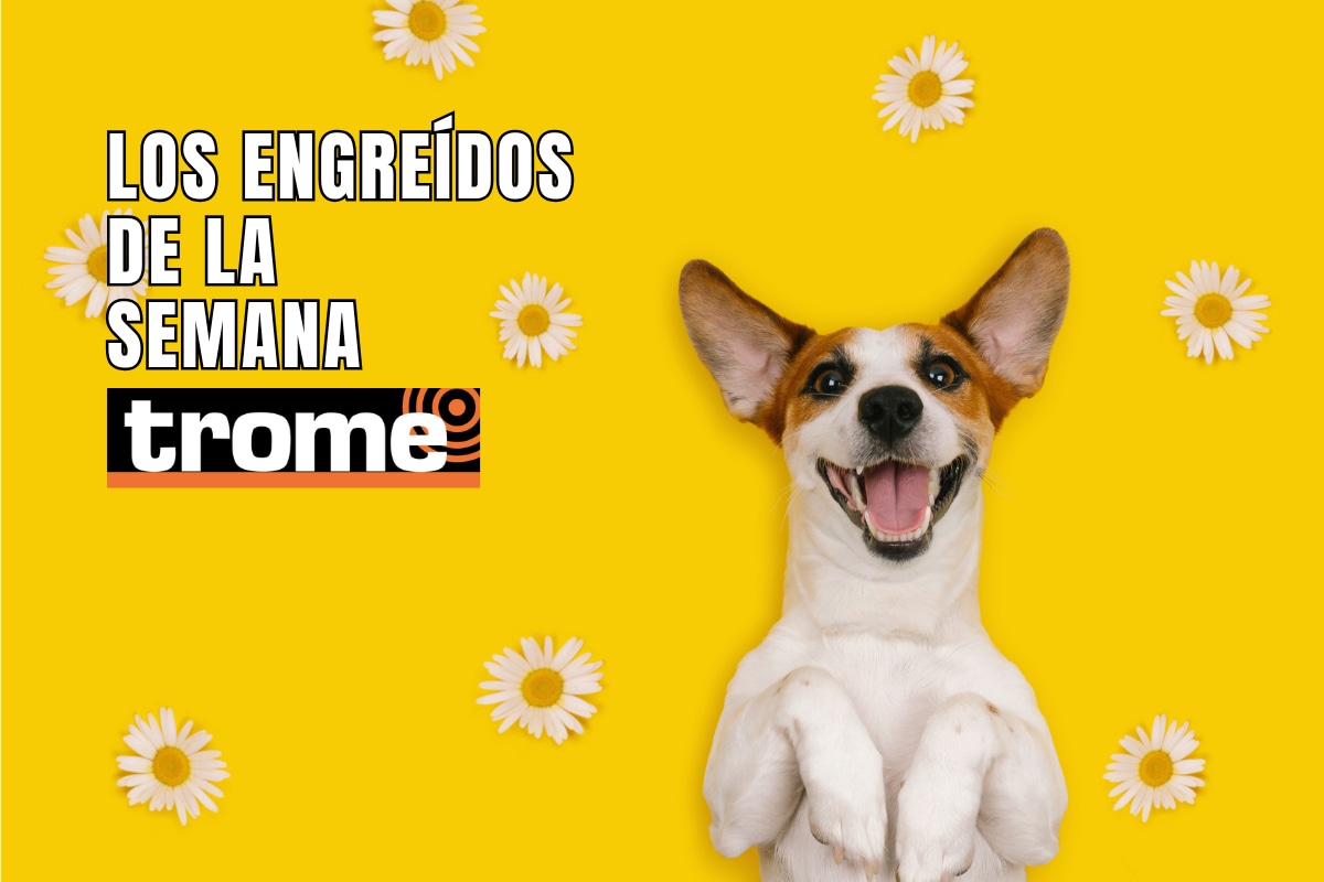 Engreídos Trome