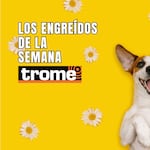 ¡Llegaron los engreídos Trome! Conoce a las mascotas que conquistan corazones
