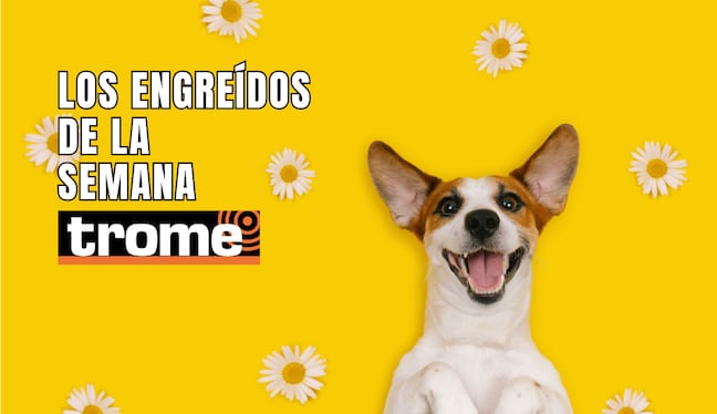 Engreídos Trome