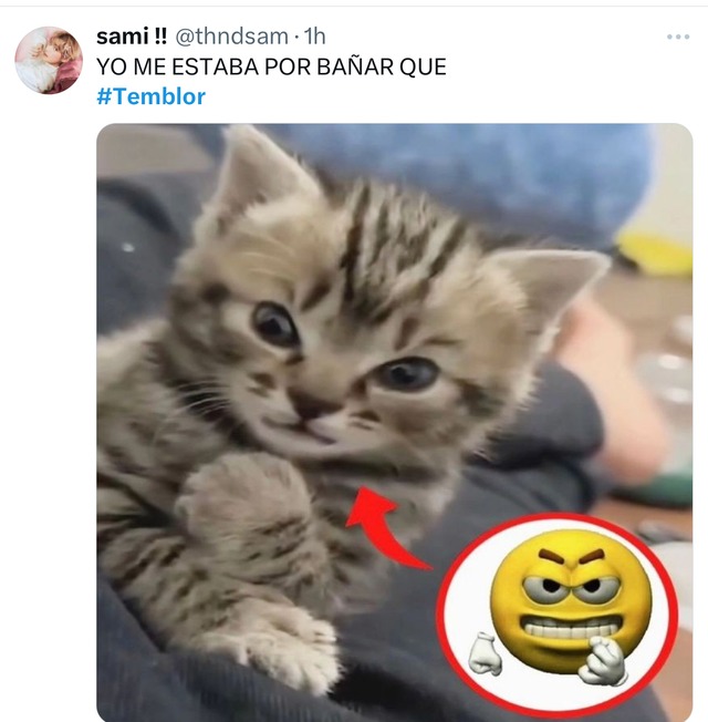 Trome| Memes del temblor en Lima del martes 23 de julio 2024 (Fotos: Twitter)