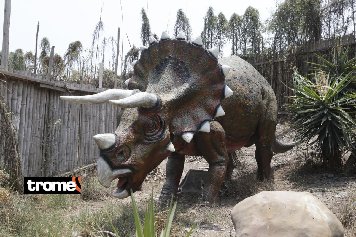 Visitantes podrán recorrer la 'Zona Dino', donde hay 22 figuras animatrónicas de dinosaurios. Foto: Violeta Ayasta