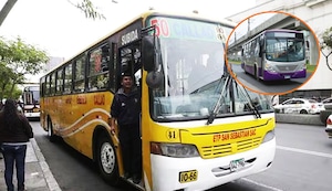 Línea 50 regresará tras el retiro del Corredor Morado: A partir del lunes 4 de marzo operarán 35 unidades