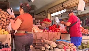 Crisis energética impacta en la canasta básica: suben precios del pollo, frutas y verduras