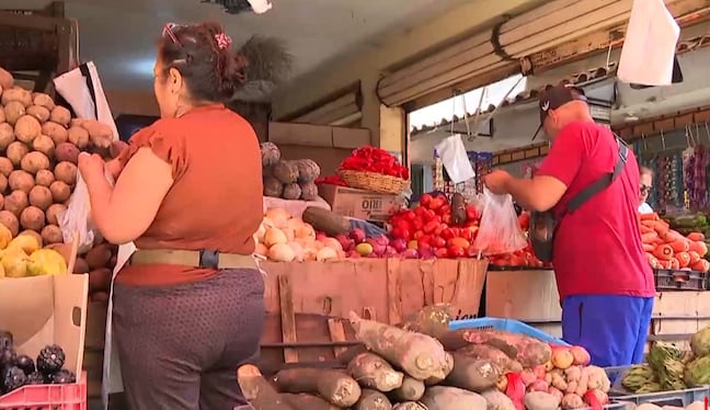 Crisis energética impacta en la canasta básica: suben precios del pollo, frutas y verduras