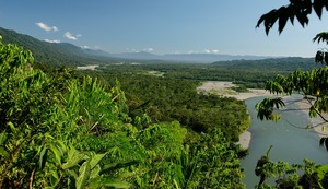 Pico Tv: El Búho viajero