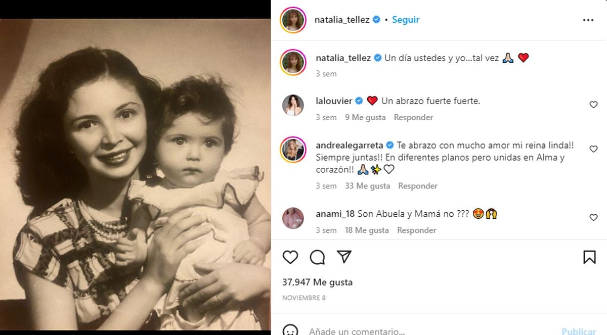 El post que le dedicó a su abuela en noviembre cuando falleció (Foto: Natalia Téllez / Instagram)