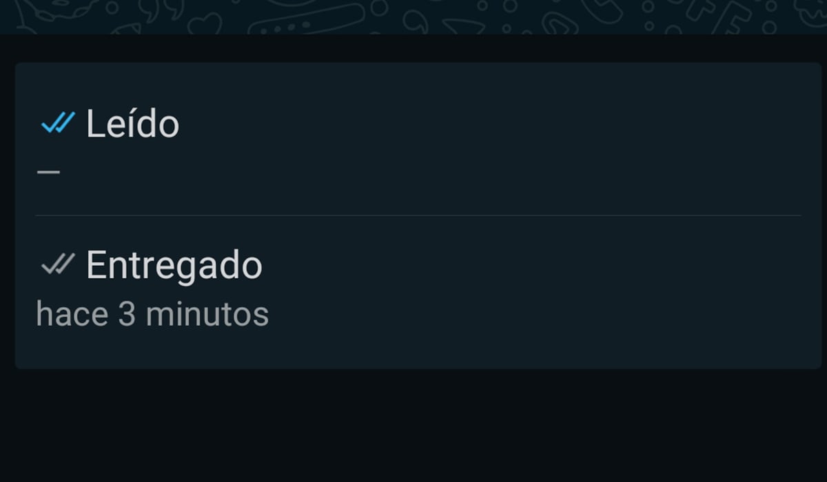 De esta forma podrás saber si alguien vio o no tu mensaje en WhatsApp. (Foto: WhatsApp)
