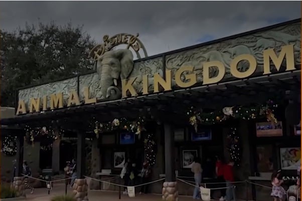 Vacaciones familiares de Paolo Guerrero.(anapaulaconsorte_)