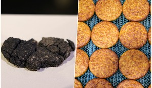 Revive el delicioso pan de 5 mil años gracias a arqueólogos en Turquía