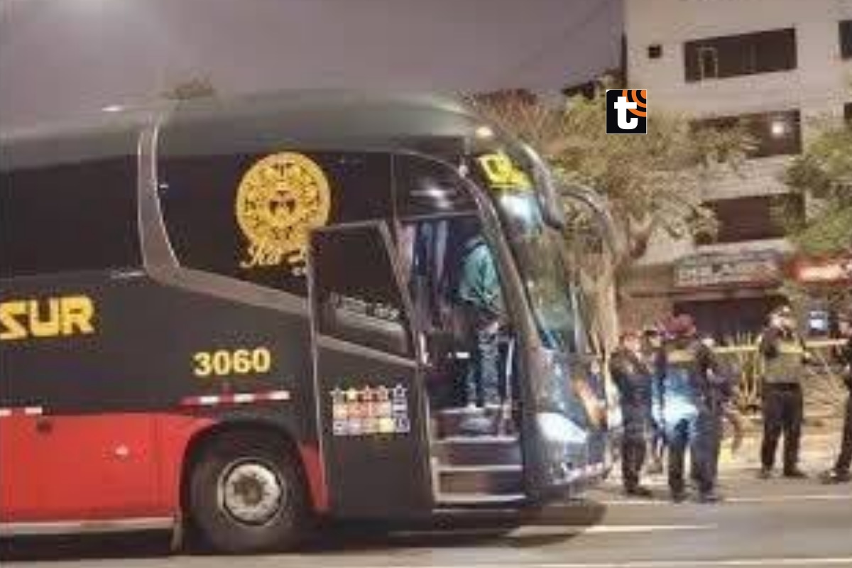 Dispararon contra un bus de la empresa de transporte interprovincial Cruz del Sur que se dirigía a Ica con 32 pasajeros.