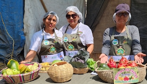 Productores apuestan por la agroecología para alimentar a sus vecinos de Lima Norte