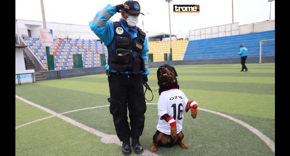 Ozil, perrito del serenazgo de Magdalena, sorprende con su habilidad para atrapar la pelota y tapar el arco.. (Trome)