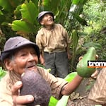 ¡Adiós, ‘Mashico’! Muere a los 125 años el hombre más longevo del Perú tras una vida marcada por el abandono y la resistencia