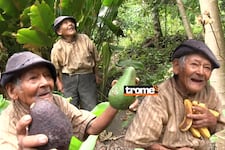 ¡Adiós, ‘Mashico’! Muere a los 125 años el hombre más longevo del Perú tras una vida marcada por el abandono y la resistencia