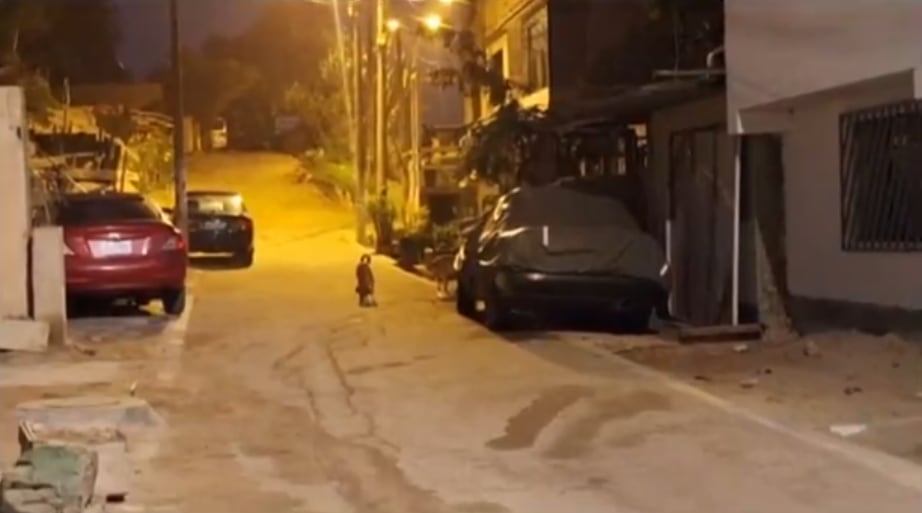 Asesinato en Manchay: dos hombres mueren a balazos durante el estado de emergencia