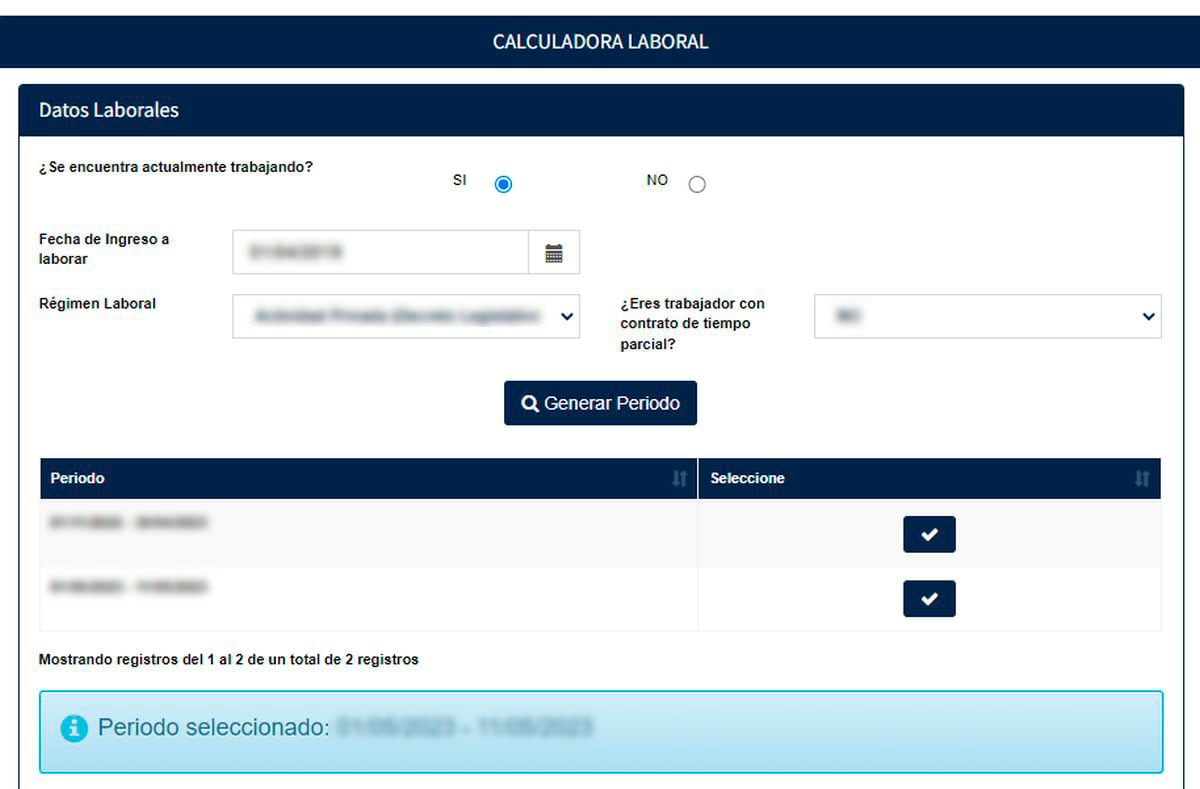Mucha atención a la hora de completar tus datos (Foto: Sunafil)
