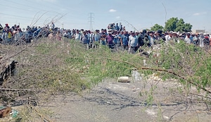 Pepitas de Trome: Los agricultores del norte tienen necesidades insatisfechas