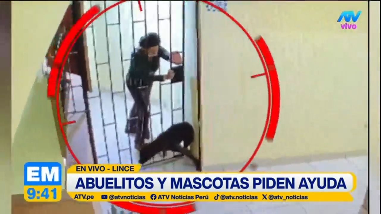Pareja de adultos mayores fue denunciada por maltratar cachorros en edificio donde vive el presidente. Foto: ATV