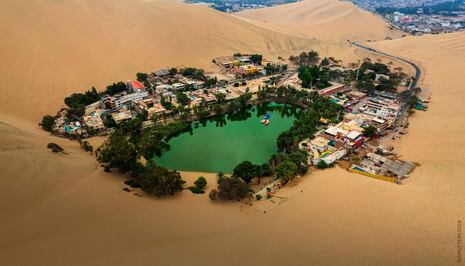 ¿Cómo se forman los oasis y por qué pueden existir en medio del desierto?