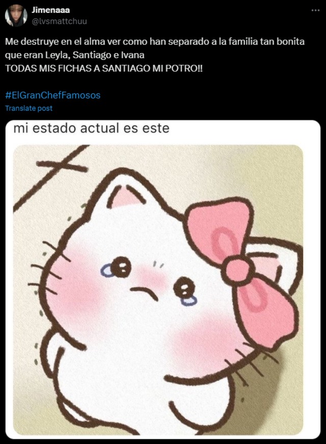 Leyla Chihuán: usuarios reaccionan (Foto: X)