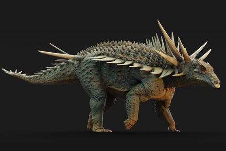 Sorprendente dinosaurio descubierto en Marruecos revoluciona la historia