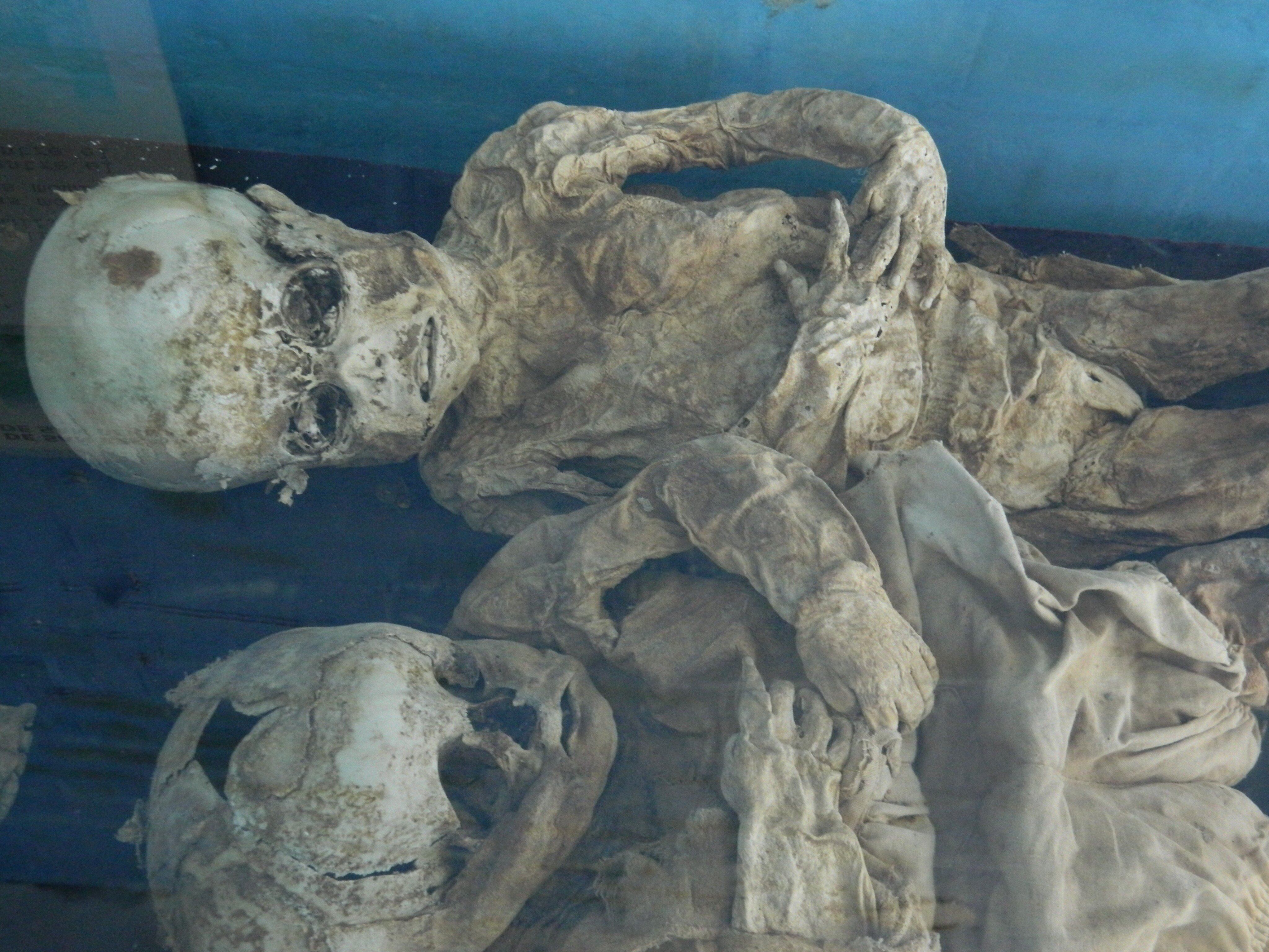 Momias bebés de San Bernardo (Foto: @PilasConEso)