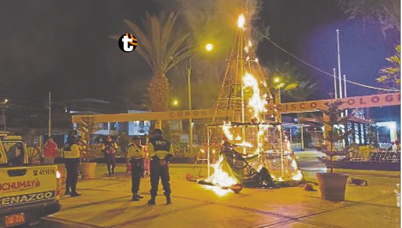 TROME - Menores causan incendio en enorme árbol de Arequipa