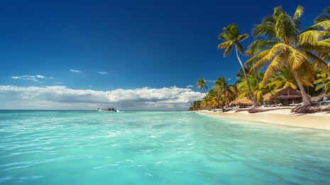 Pancholón en el Caribe