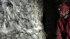 ¡Increíble! Encuentran una telaraña gigante con más de 100 mil arañas viviendo junta