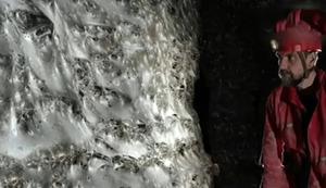 ¡Increíble! Encuentran una telaraña gigante con más de 100 mil arañas viviendo junta