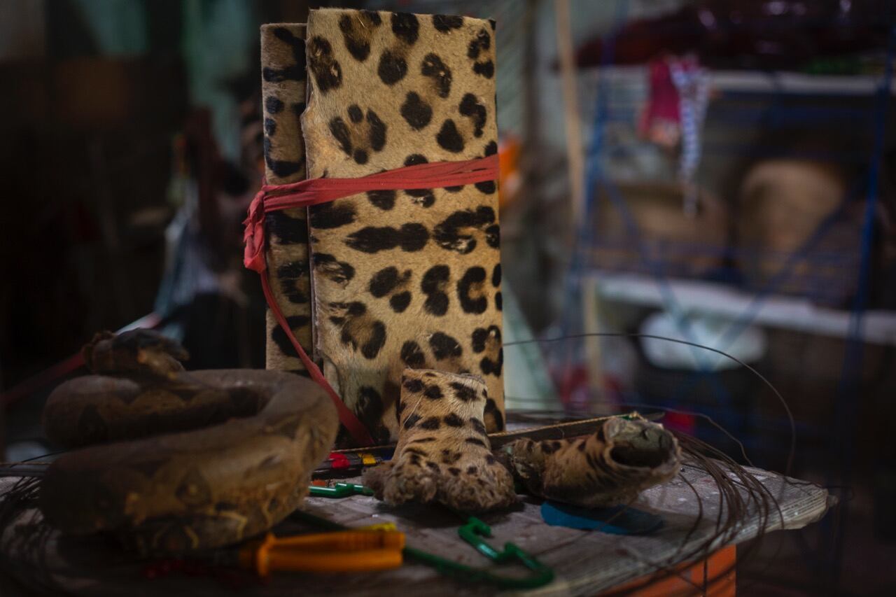 El delito ambiental crece en nuestro país.