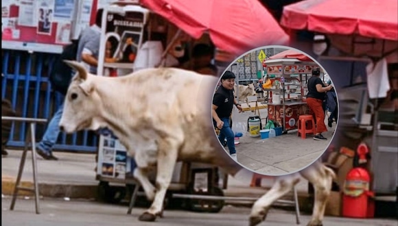Toro causó pánico en las calles cerca al mercado de Lurín (Video: @rogergarcía)