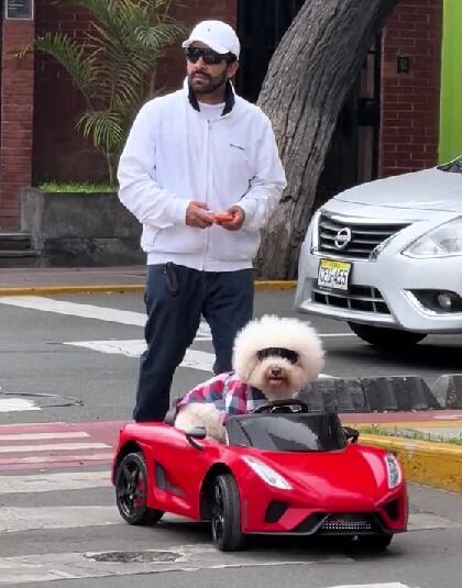 Tiene una dieta sana que consiste en arroz integral con apio y pavo.