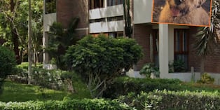 'Valentino' se encuentra grave por ataque de perro pitbull. (ATV Noticias)